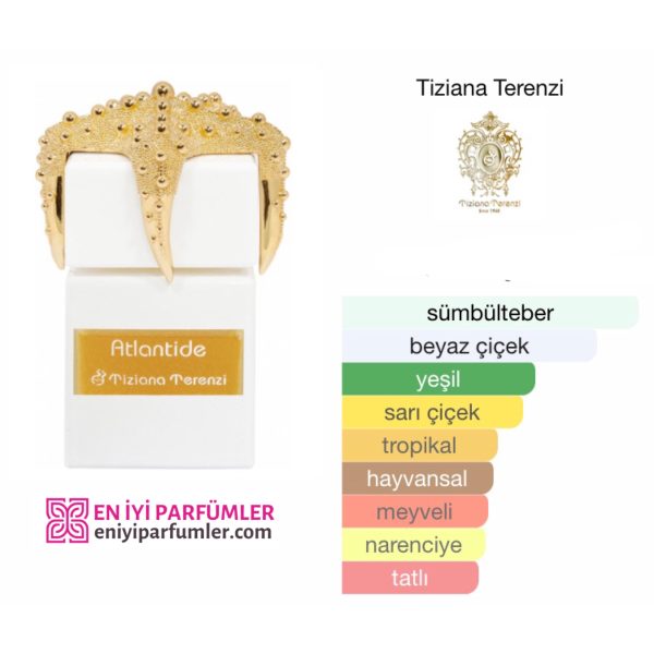 Tiziana Terenzi Sea Stars Atlantide EDP 100 ML Unisex Parfüm - Görsel 3